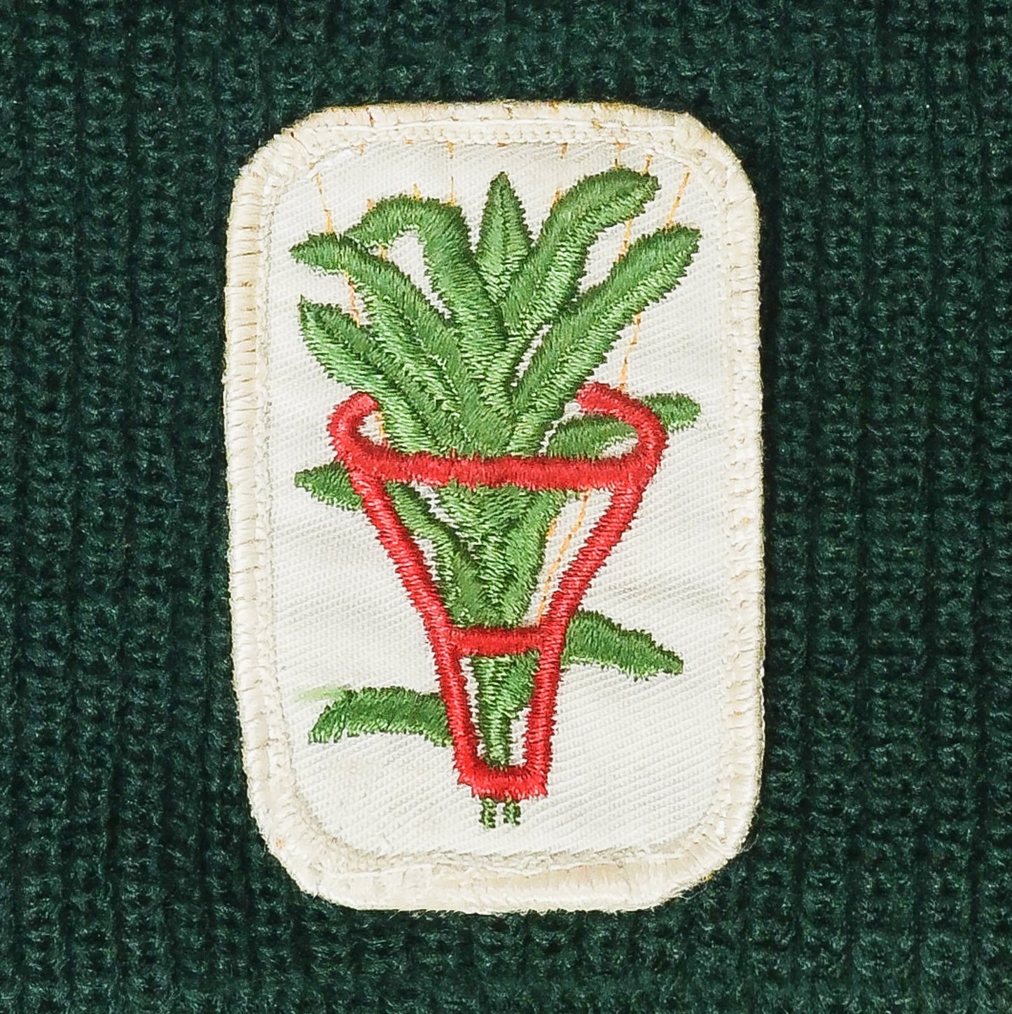 HOUSE PLANT BEANIE